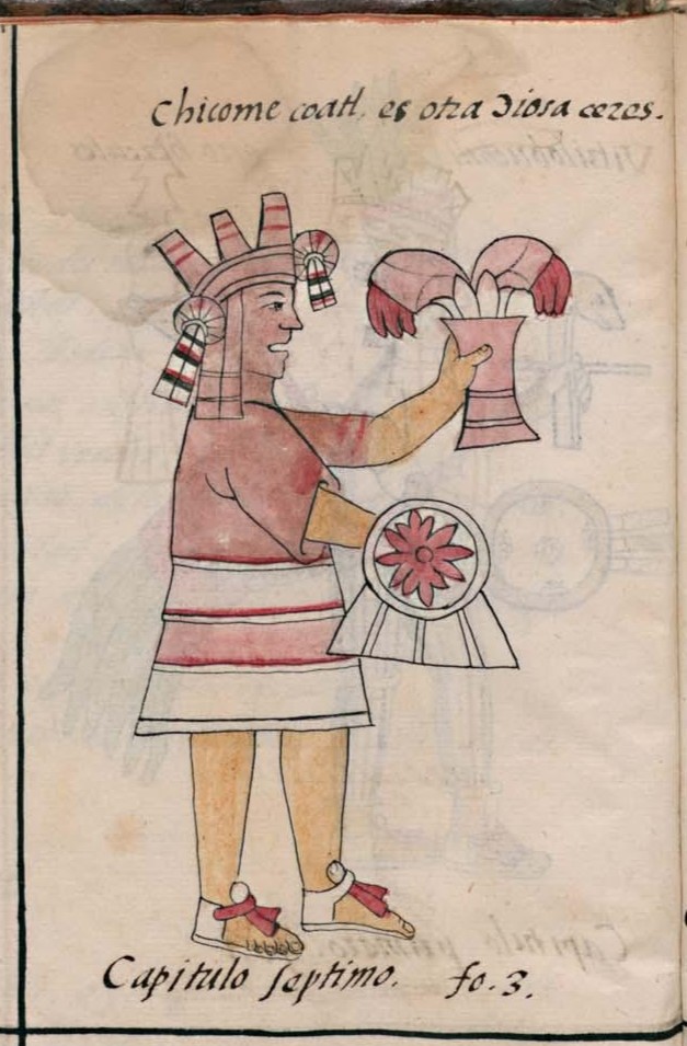 Florentino I 1v, Chicomecohuatl