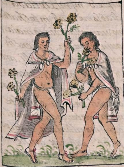 Florentino II 73r, Ochpaniztli