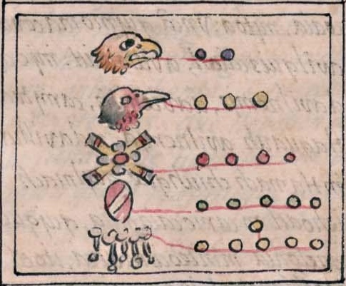 Florentino IV 6v, 2-cuauhtli, 3-cozcacuauhtli, 4-olin, 5-tecpatl, 6-quiyahuitl
