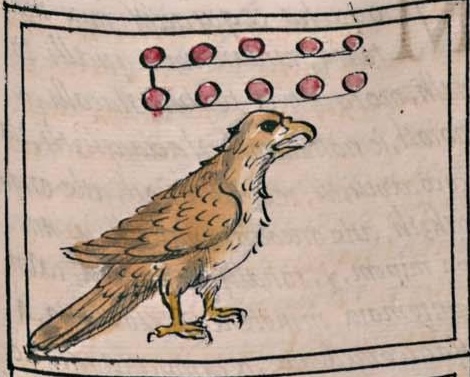 Florentino IV 27r, 10-cuauhtli