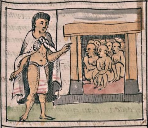Florentino IV 29r