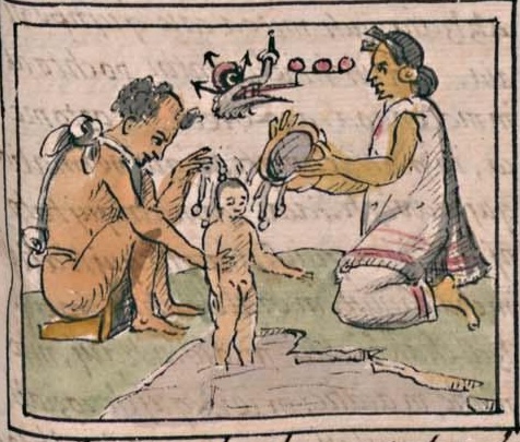 Florentino IV 29r, 3-cipactli