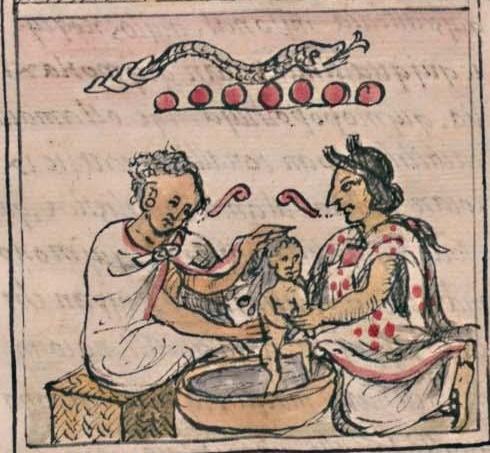 Florentino IV 32v, 7-cohuatl