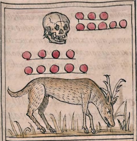 Florentino IV 33r, 8-miquiztli, 9-mazatl
