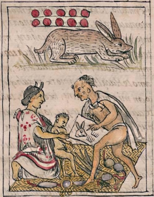 Florentino IV 34v, 10-tochtli