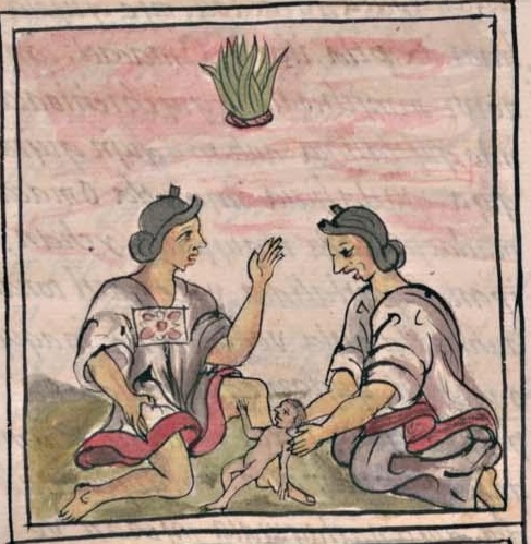 Florentino IV 36v, 1-malinalli