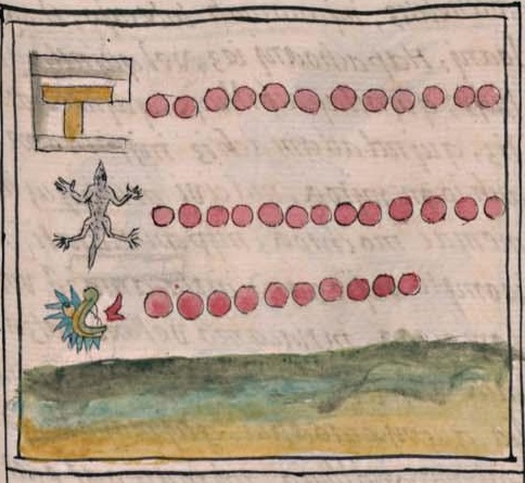 Florentino IV 37r, 10-cipactli, 11-cuetzpalin, 12-calli