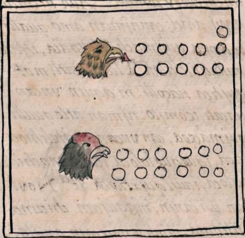 Florentino IV 45v, 11-cuauhtli, 12-cozcacuauhtli