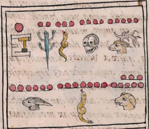 Florentino IV 55r, 1-calli, 2-cuetzpalin, 3-cohuatl, 4-miquiztli, 5-mazatl, 6-tochtli, 7-cohuatl, 8-itzcuintli