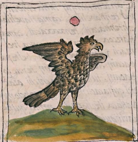 Florentino IV 62r, 1-cuauhtli