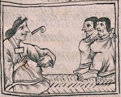 Florentino VI 126r