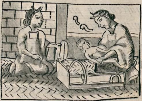 Florentino VI 175v