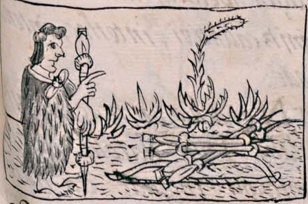 Florentino VI 214r
