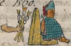 Florentino VIII 1r, Acamapichtli