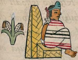 Florentino VIII 8r, Cacamatzin