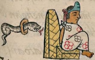 Florentino VIII 8r, Cohuanacochtzin