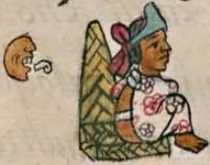 Florentino VIII 8v, Tetlahuehuetzquiti