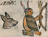 Florentino VIII 9r, Tochinteuctli