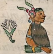 Florentino VIII 9v, Totomochtzin