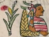 Florentino VIII 9v, Xilotzin, teuctli