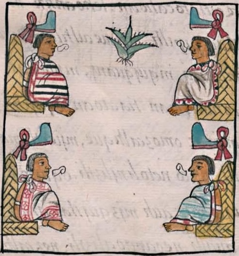 Florentino VIII 36v, Mexica