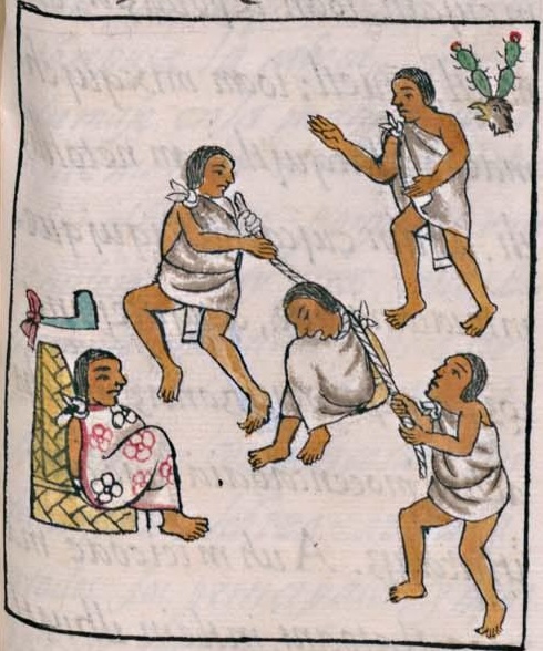 Florentino VIII 38r, Cuauhnochtli