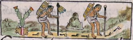 Florentino IX 38v, Tenochtitlan, Tlatelolco