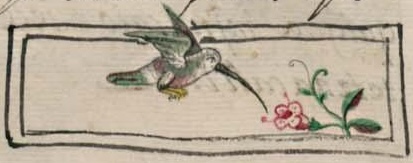 Florentino XI 24v, quetzalhuitzilin