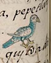 Florentino XI 26v, canauhtli