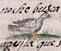Florentino XI 42v, tlacocuauhtli