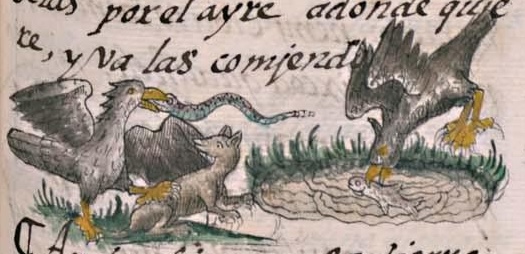 Florentino XI 45r, aitzcuauhtli