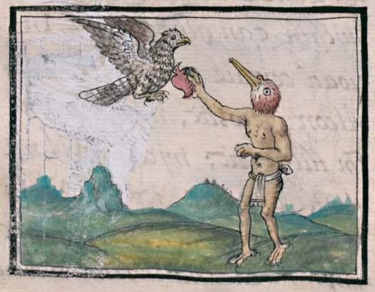Florentino XI 47v, cuauhtlotli, Huitzilopochtli