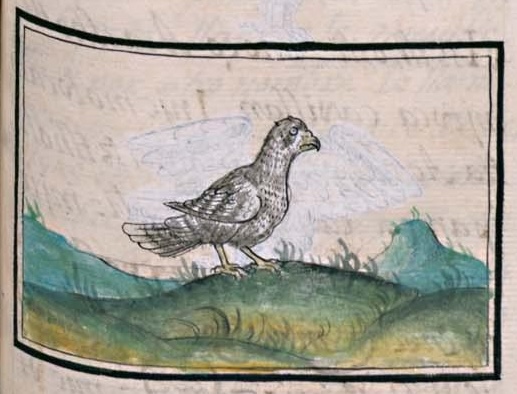 Florentino XI 48r, ehecatlotli