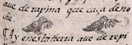 Florentino XI 49r, necuilictli