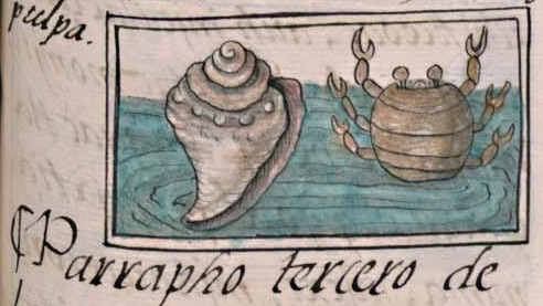 Florentino XI 63r, tecuicitli