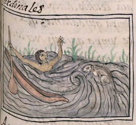Florentino XI 71r, ahuitzotl