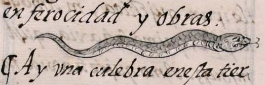 Florentino XI 73v, acohuatl