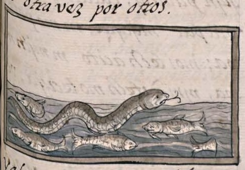 Florentino XI 74r, acohuatl
