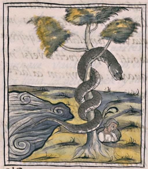Florentino XI 75v, acohuatl