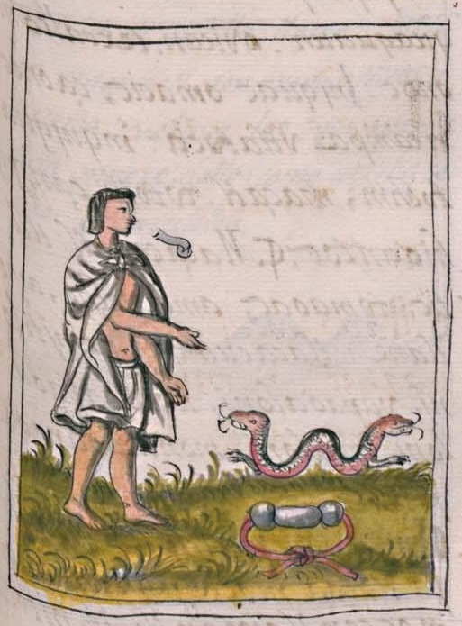Florentino XI 82r, maquizcohuatl