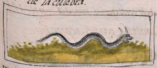 Florentino XI 83r, mazacohuatl