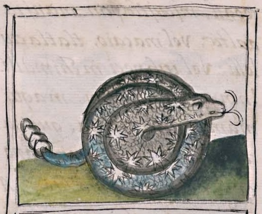 Florentino XI 85v, citlalcohuatl