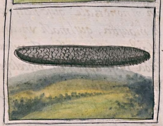 Florentino XI 85v, metlapilcohuatl
