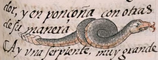 Florentino XI 86r, ahueyactli