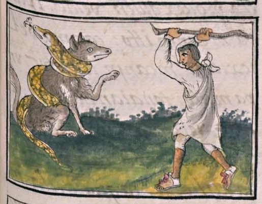 Florentino XI 88r, cencohuatl