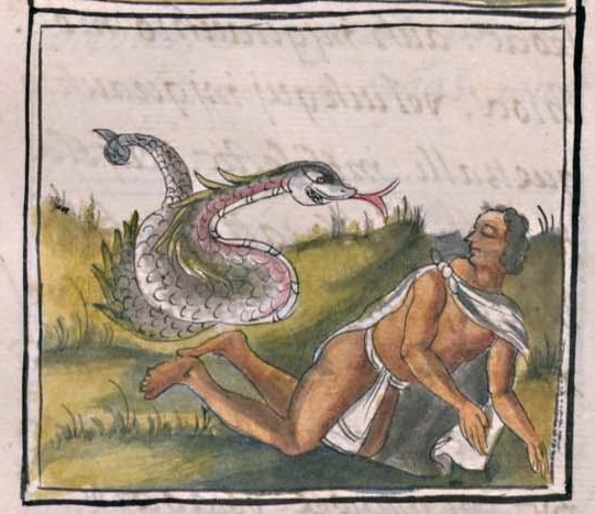 Florentino XI 89v, quetzalcohuatl