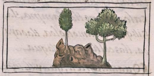Florentino XI 117v, cuauhtlactli