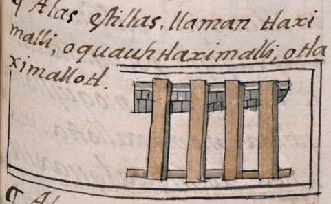 Florentino XI 120r, cuauhpepechtli
