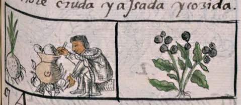 Florentino XI 139r, zacateztli