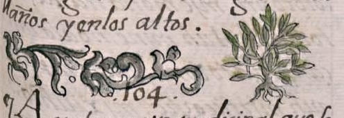 Florentino XI 159r, tlacoxochitl